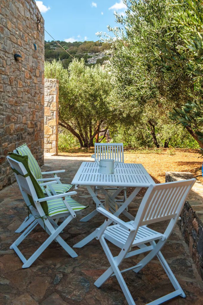 Πίσω αυλή του Elaiodentron eco House με θέα στο κεδρόδασος, στην Ανατολική Κρήτη