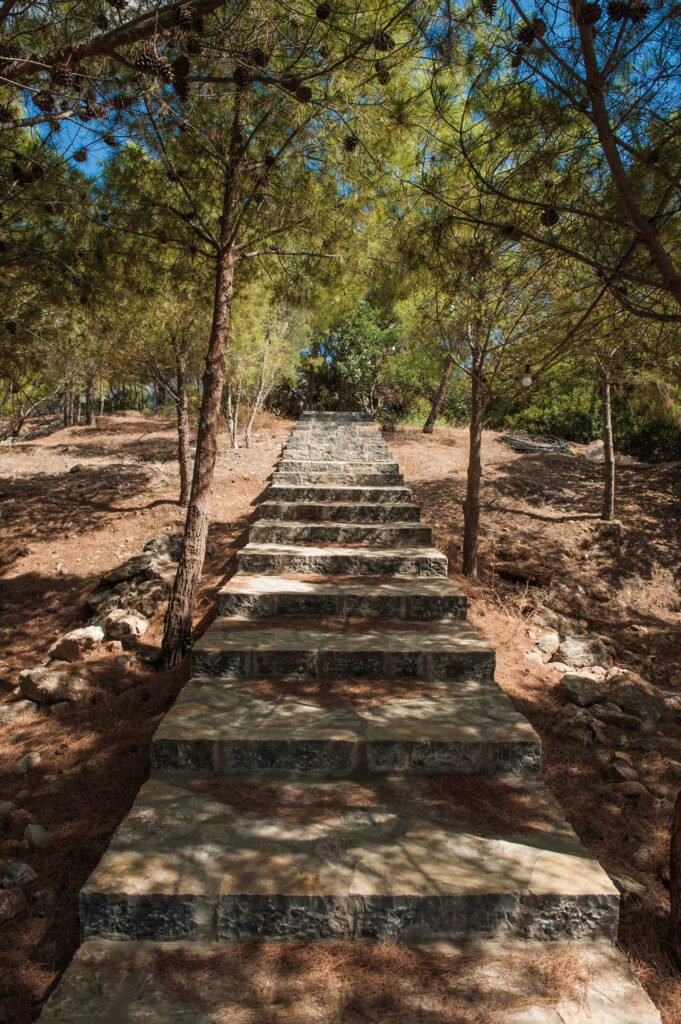 Όμορφο μονοπάτι μέσα στα πεύκα προς τη γειτονική εκκλησία Άγιος Φανούριος, δίπλα στο Elaiodentron eco House στην Ανατολική Κρήτη