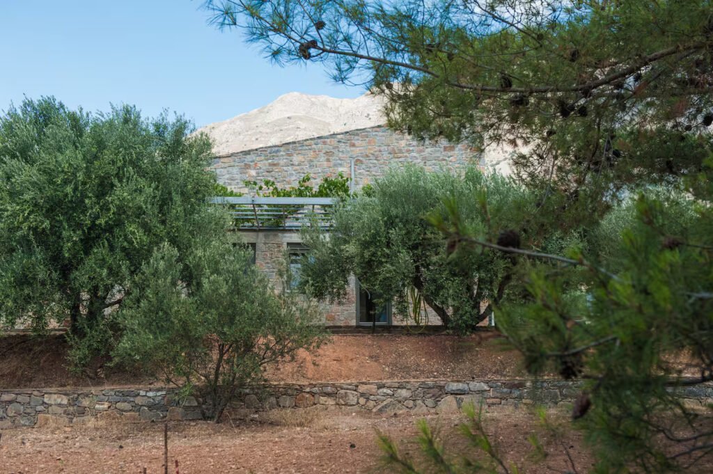 Μπροστινή όψη του πετρόχτιστου Elaiodentron eco House στην Ανατολική Κρήτη