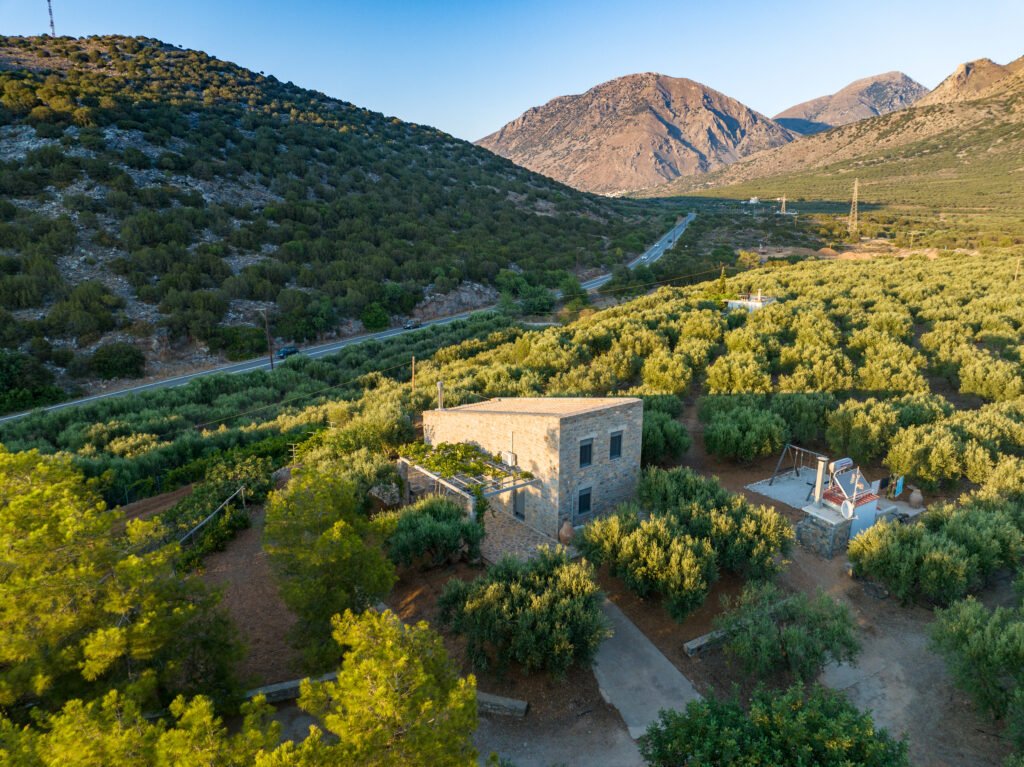 Το Elaiodentron eco House, ένα σύγχρονο πετρόχτιστο σπίτι στην Ανατολική Κρήτη μέσα σε ελαιώνα με θέα σε έναν λόφο με κέδρους
